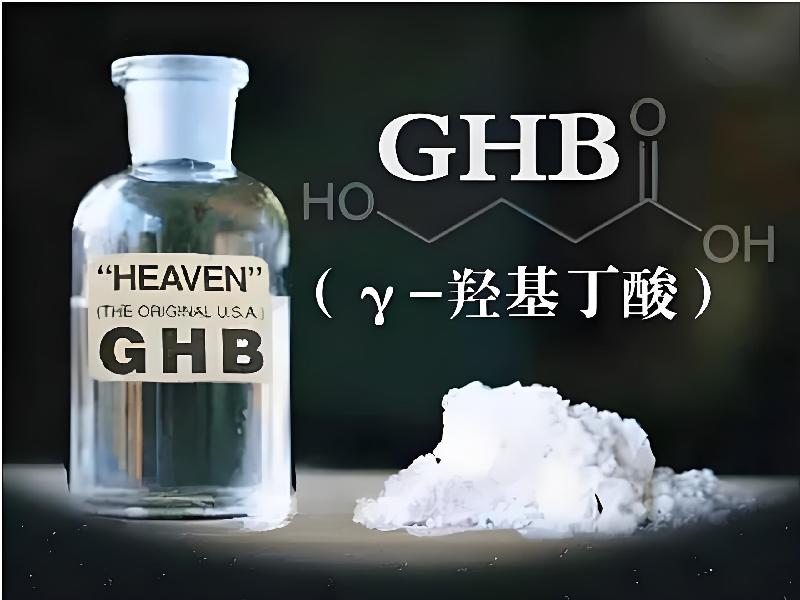 催听迷货到付264-Gc型号